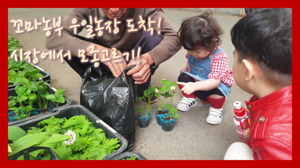 아셋(ASET) 이미지