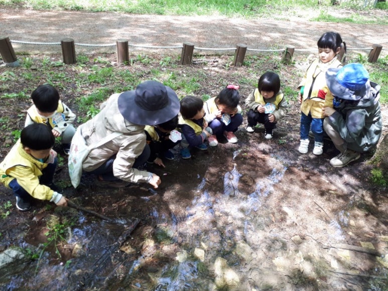 대아수목원 유아숲체험원 이미지