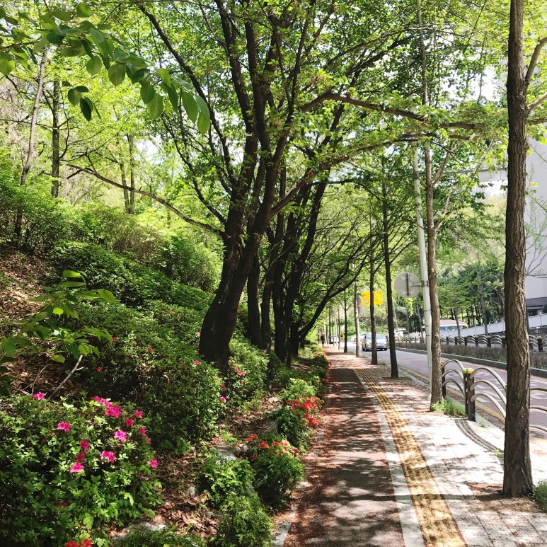 헬로베이킹 이미지