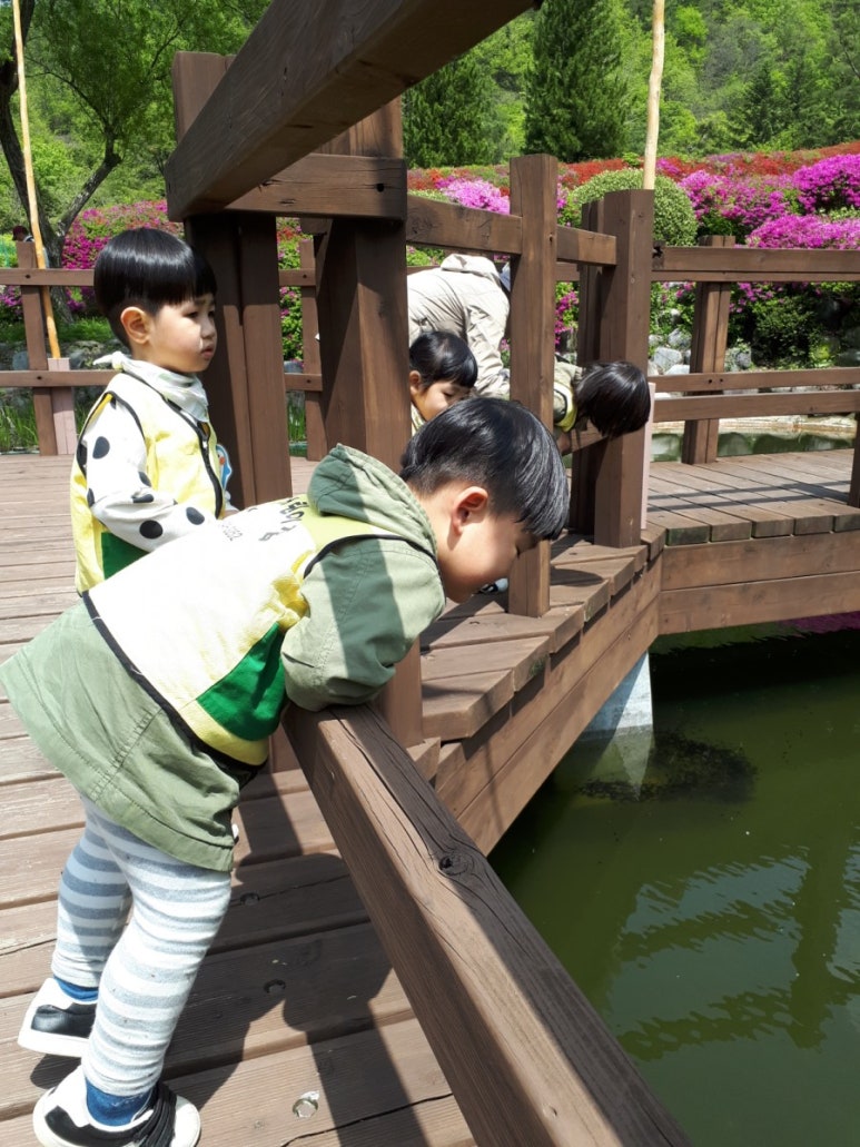 대아수목원 유아숲체험원 이미지