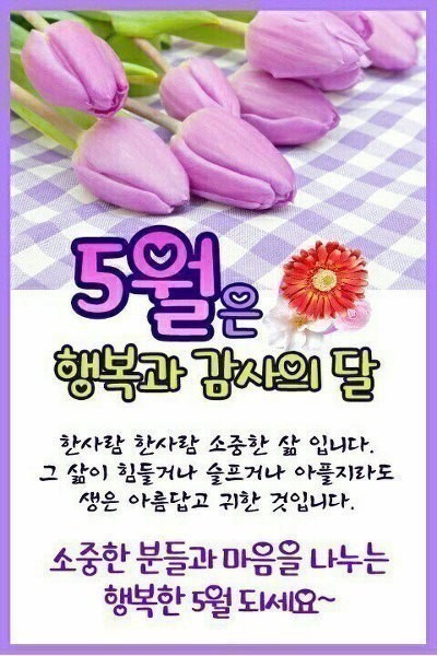 김해커먼레일 이미지