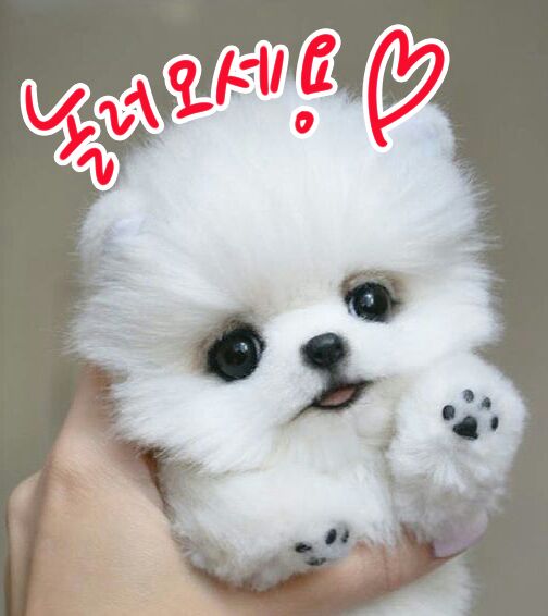 부킹7080라이브 이미지
