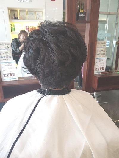 살롱드뮤토 이미지
