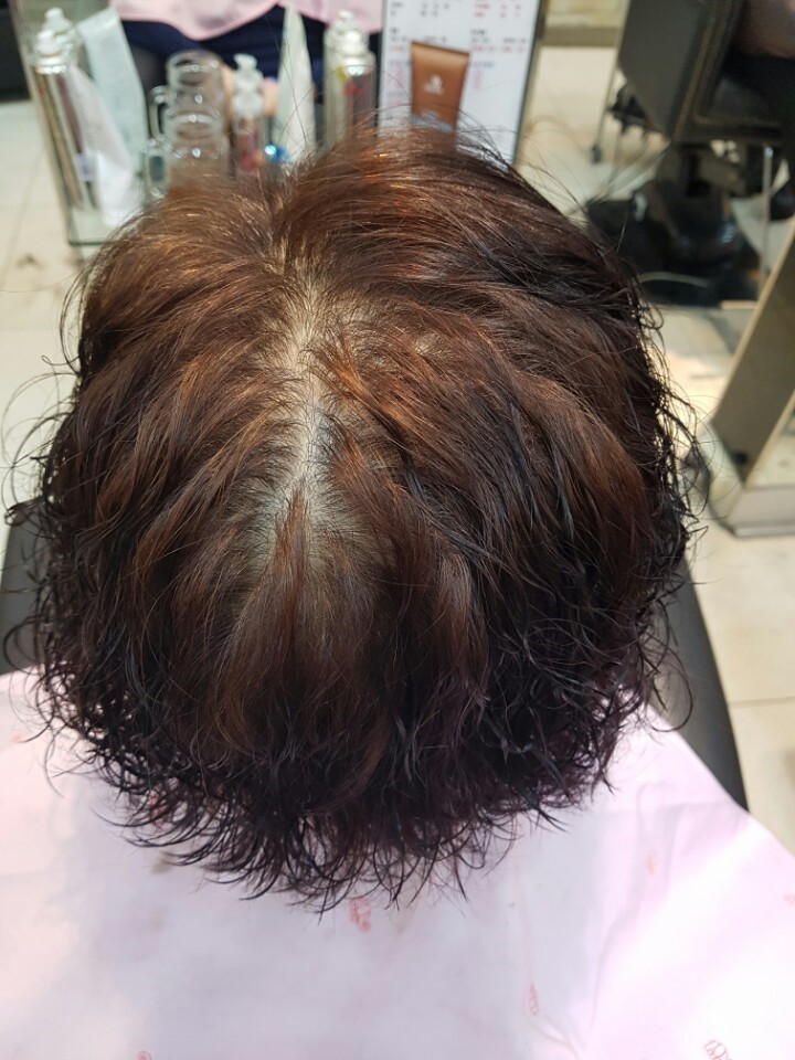제니헤어 이미지