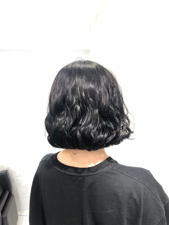 디어젤리 이미지