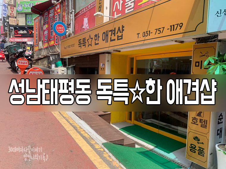 특별한샵 이미지
