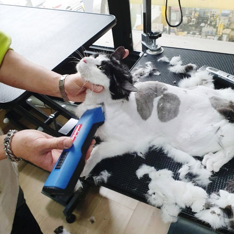 예쁜미용 이미지