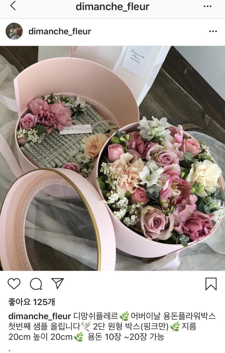 디망쉬플레르 이미지
