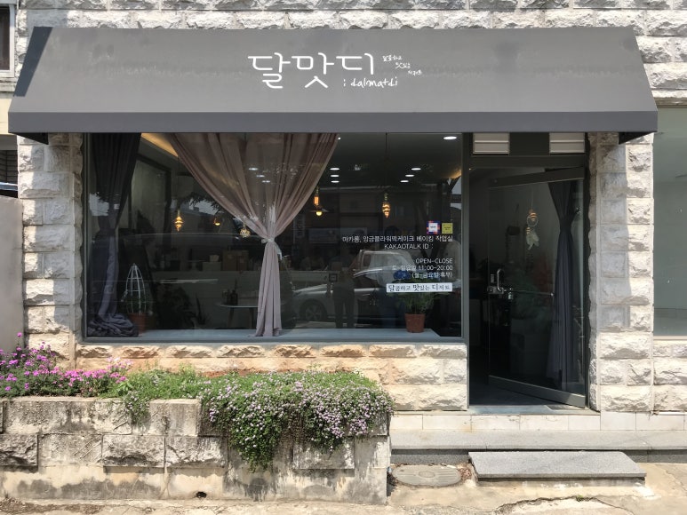 달맛디 이미지
