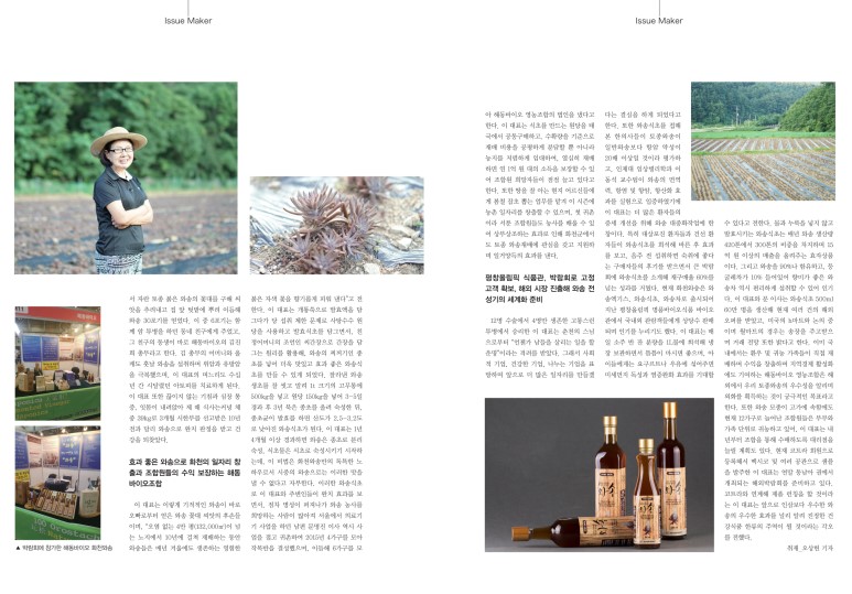 해동와송 이미지