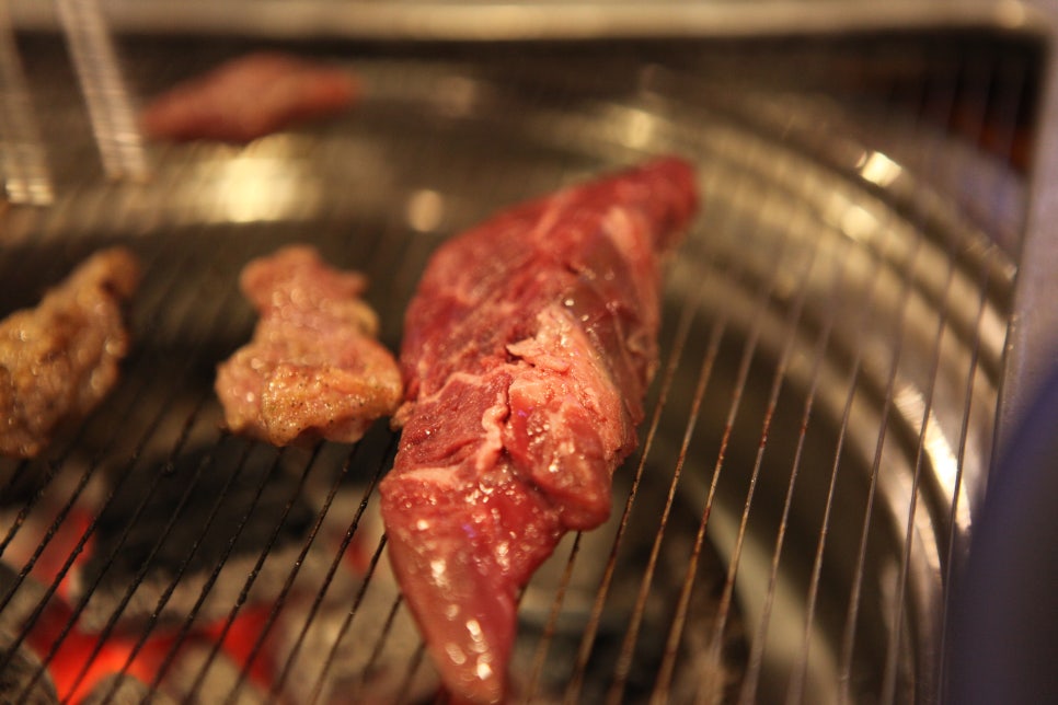 고기바보 이미지
