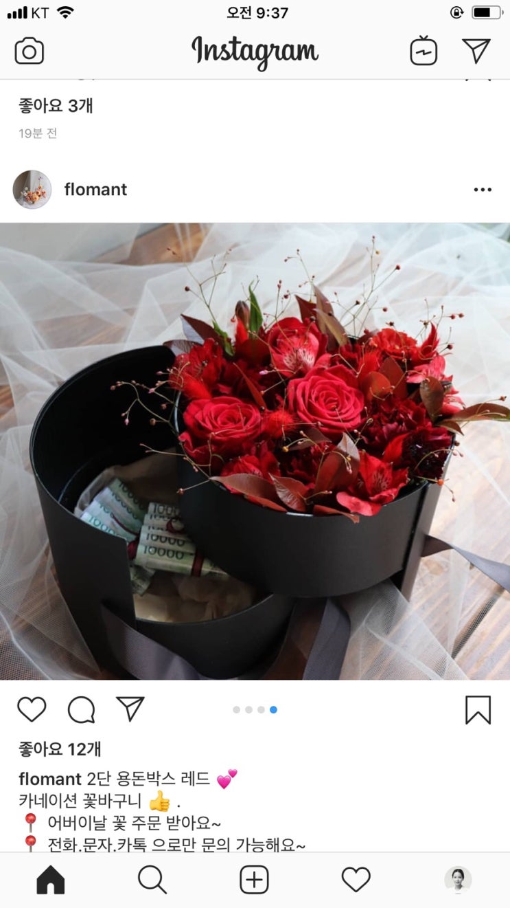 플로망 이미지