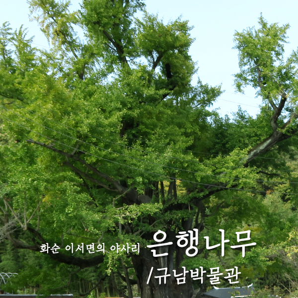 뽕모실 이미지