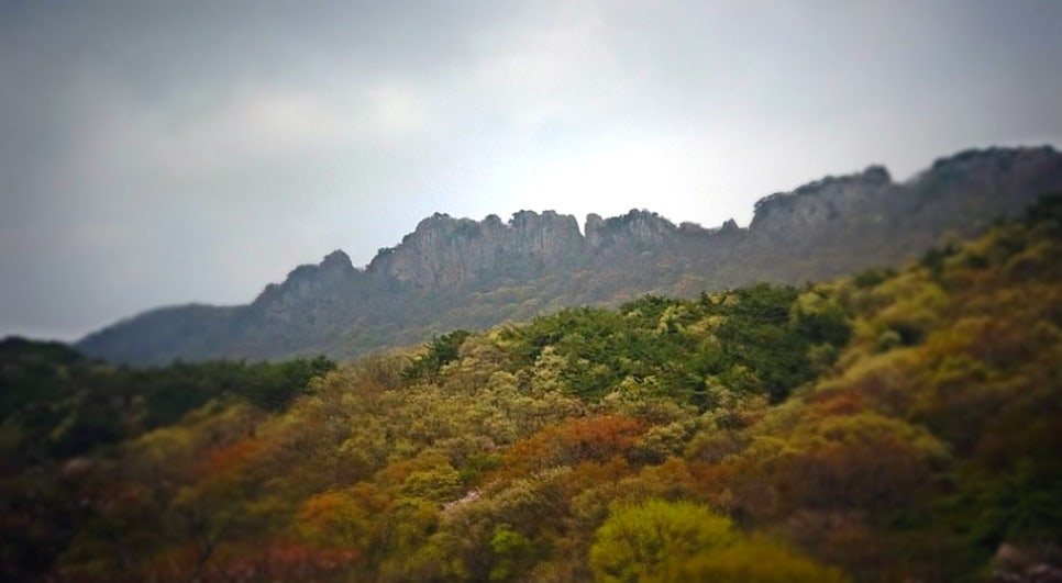 산외장터한우마을 이미지