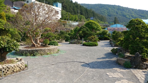 카페춘화의정원 이미지