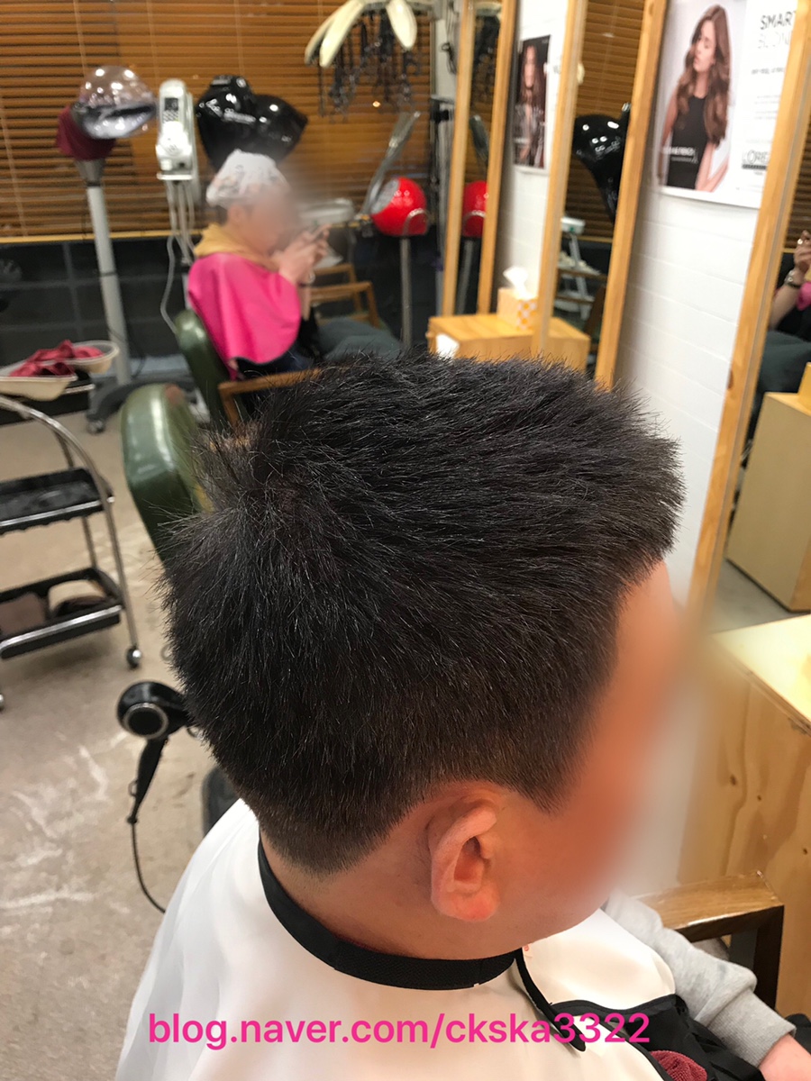 헤어끌레오 이미지