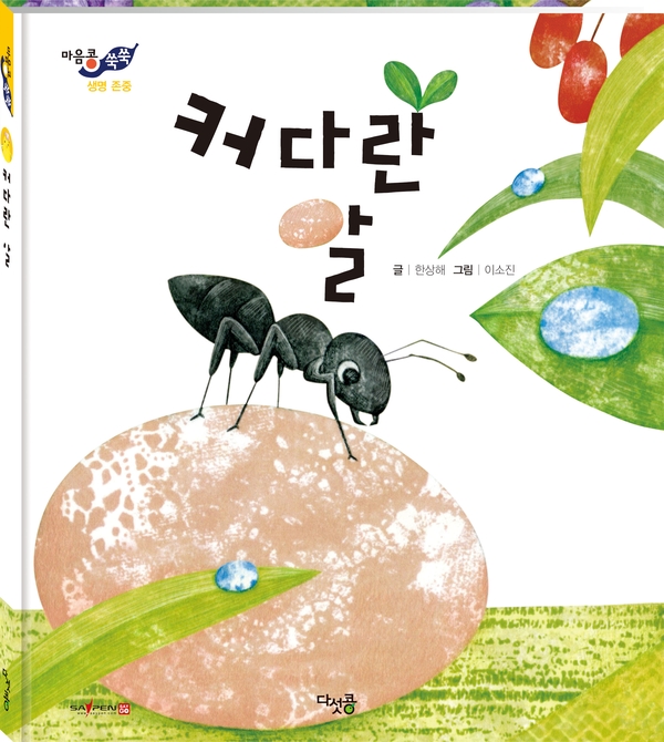 다섯콩 이미지
