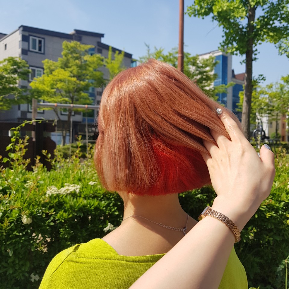히든타이거 이미지