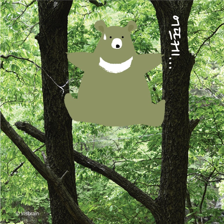 인스브레인 이미지