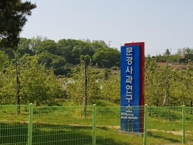 하늘농장 이미지