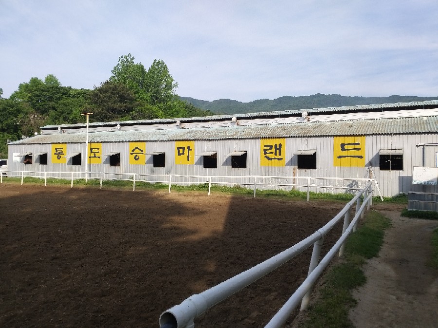 통도승마랜드 이미지