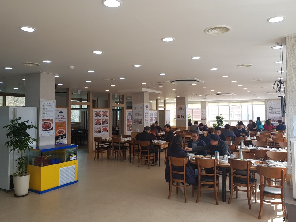 박은자맛사랑 이미지