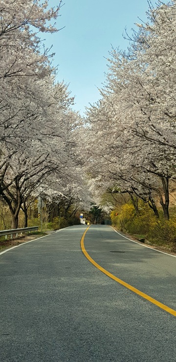 카리바이크 이미지