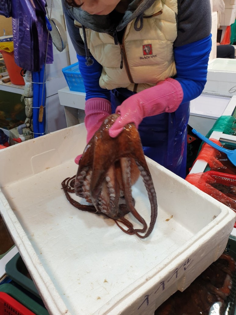 구구수산 이미지