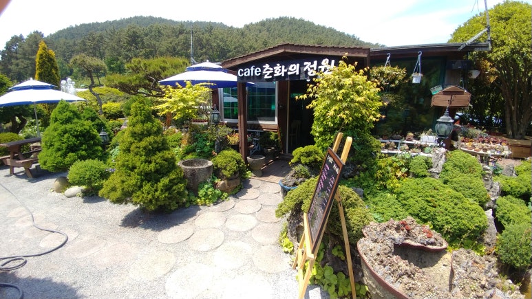 카페춘화의정원 이미지