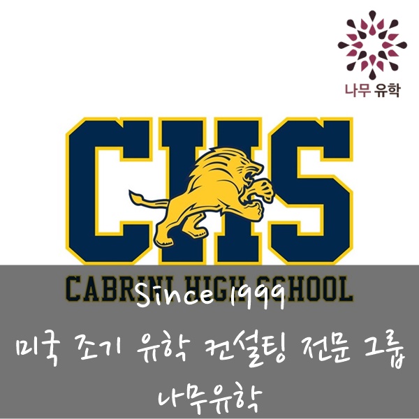 미시간컨설팅주 이미지