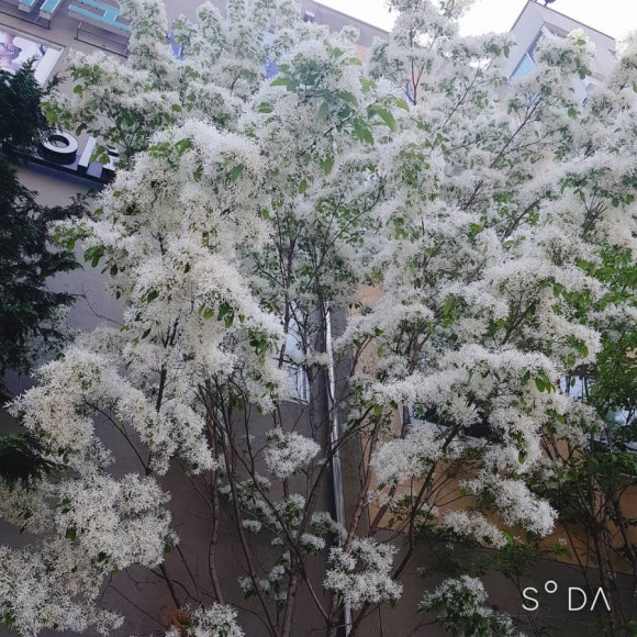 임쌤헤어 이미지