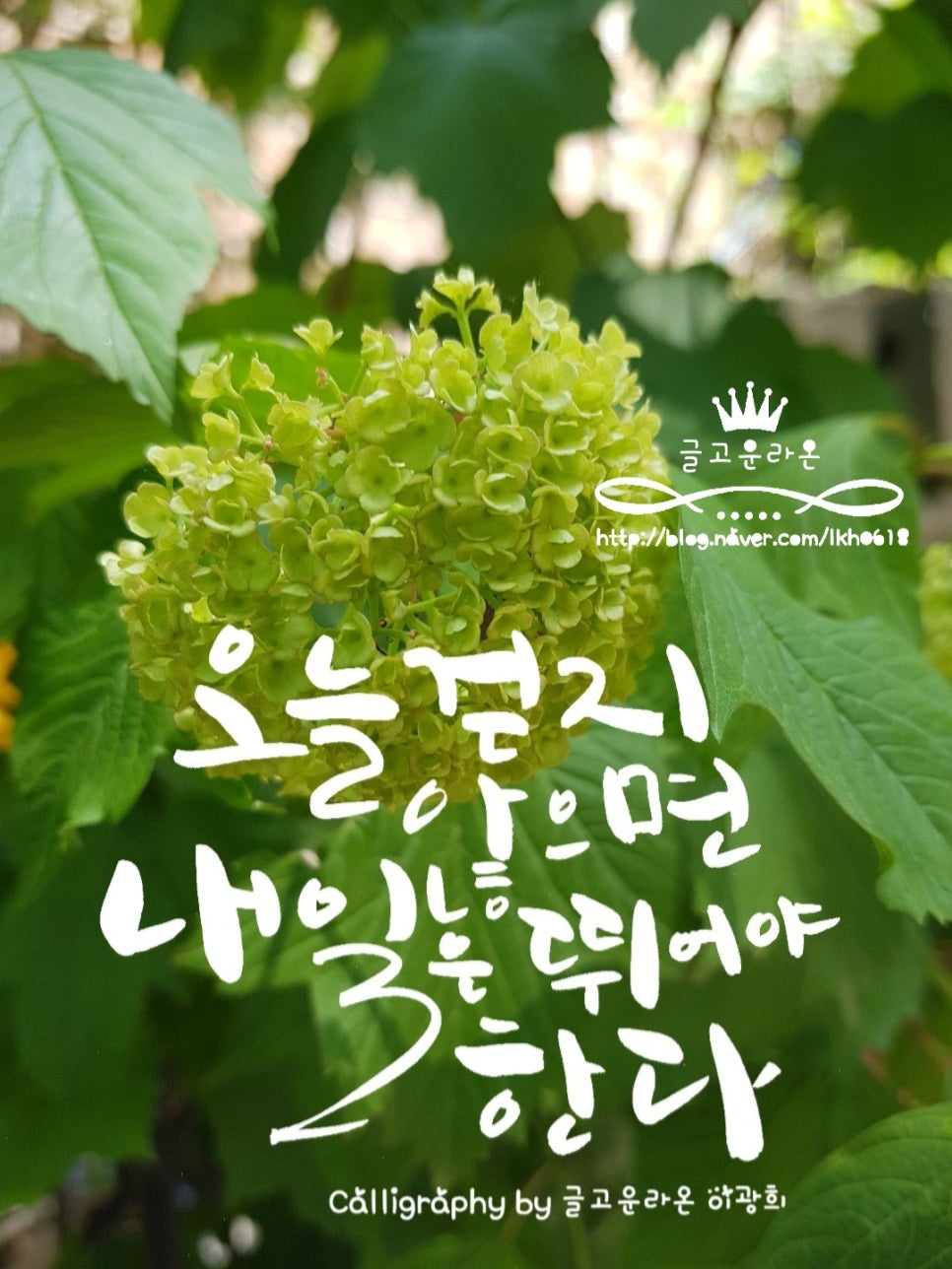 원예공감 이미지