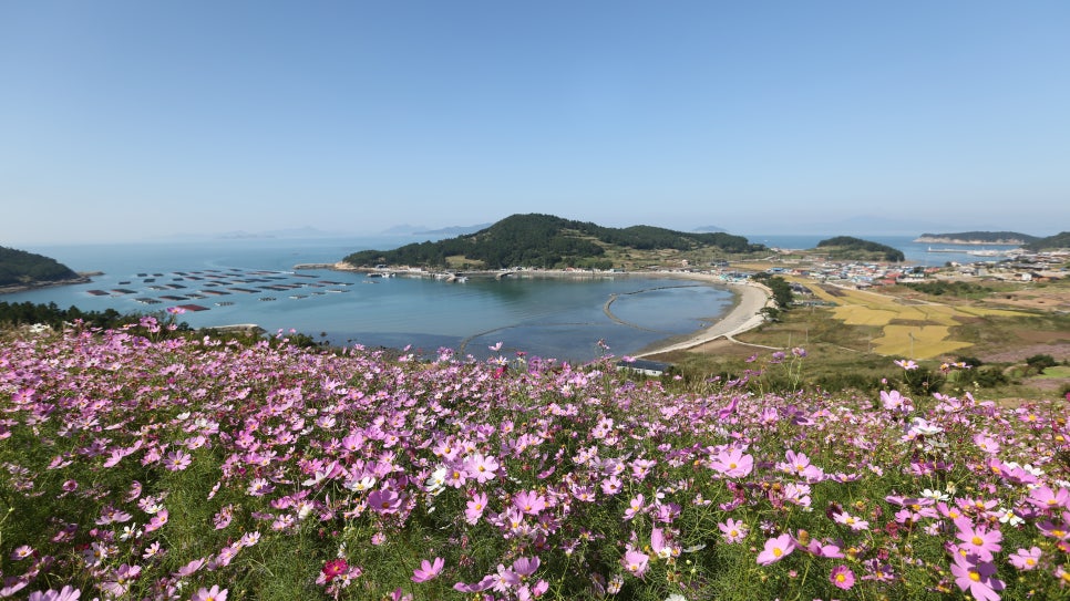 (주)청주여객터미널 이미지