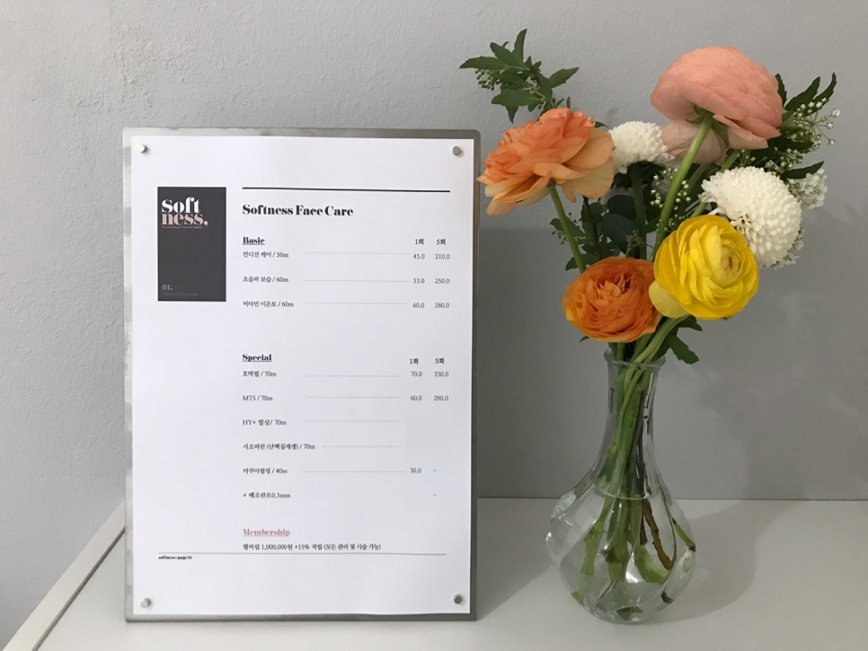 소프니스 이미지