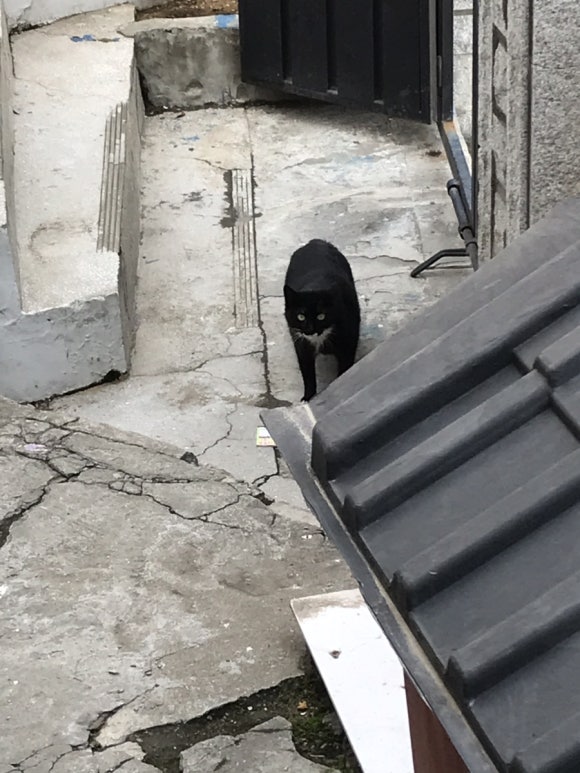우리집밥 이미지