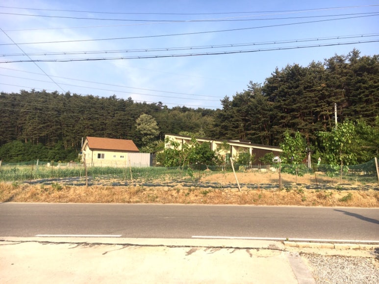구정미술관카페 이미지