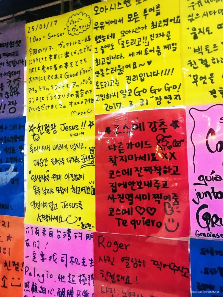 오아시스여행사 이미지