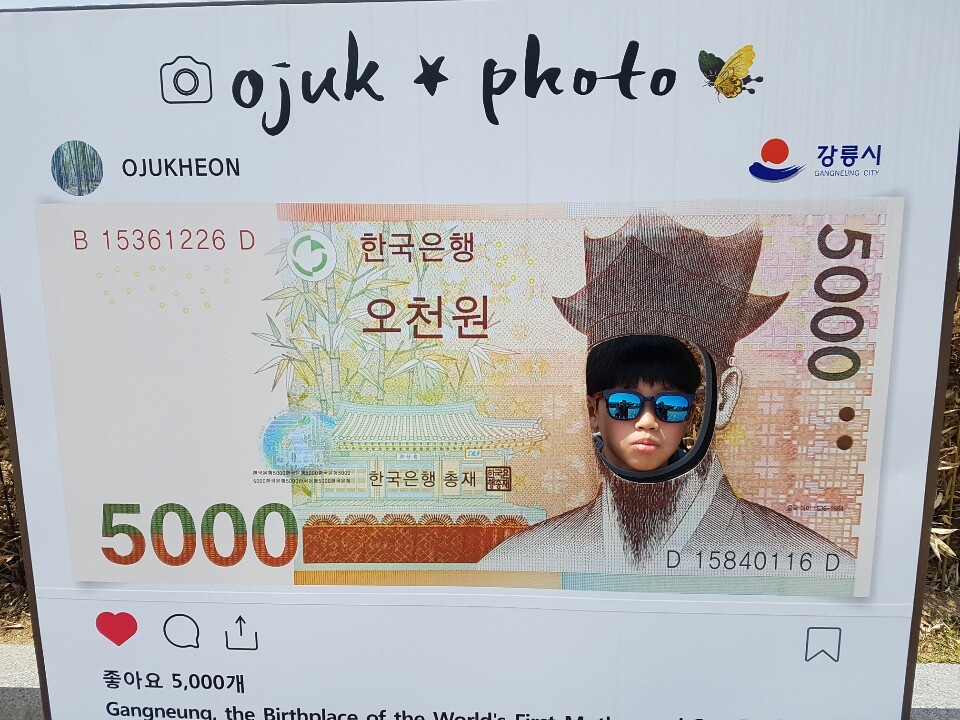 느린거름 이미지