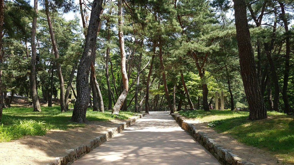 평생학습교수설계연구소 이미지