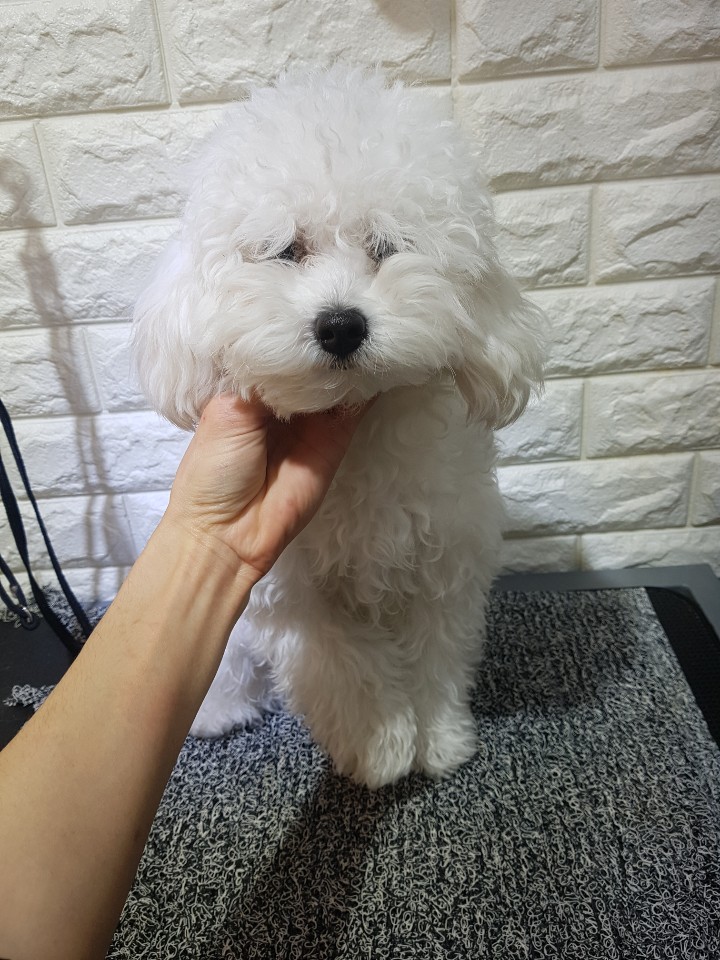 문정미용타운 이미지