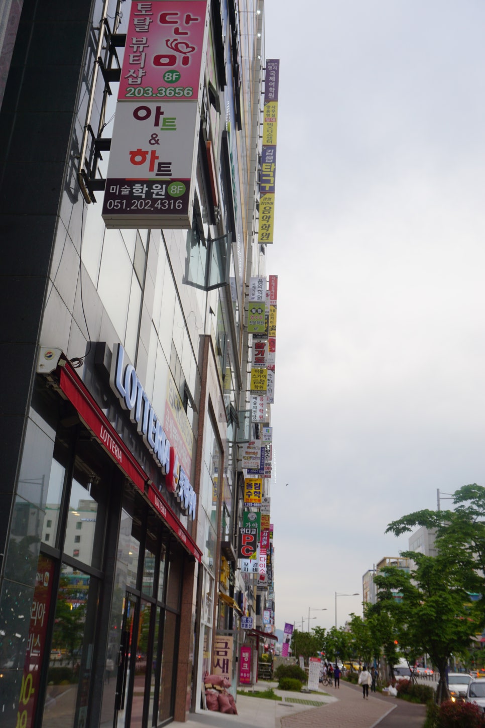 단미갤러리 이미지