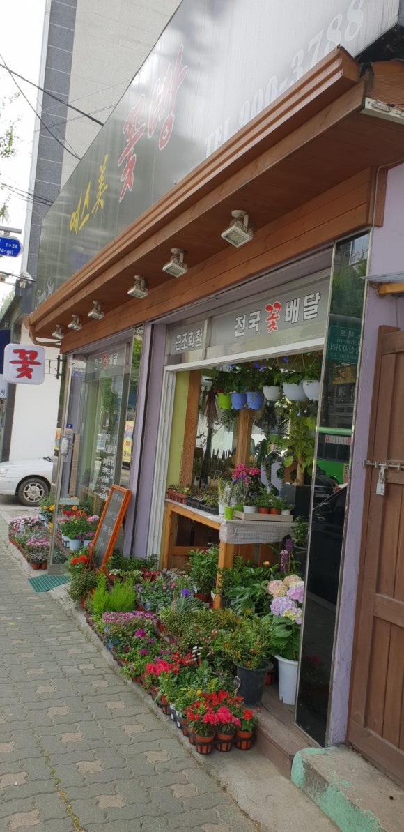 예스미꽃방 이미지