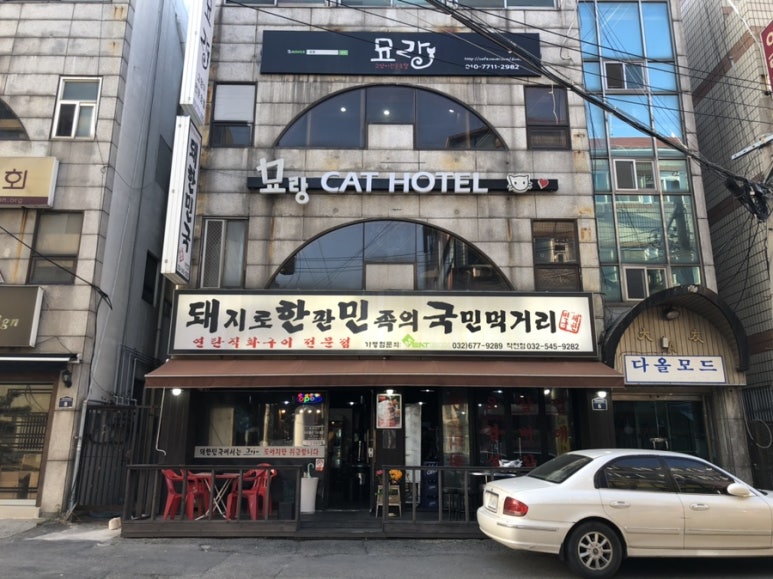 돼지로한판민족의국민먹거리(돼한민국) 이미지