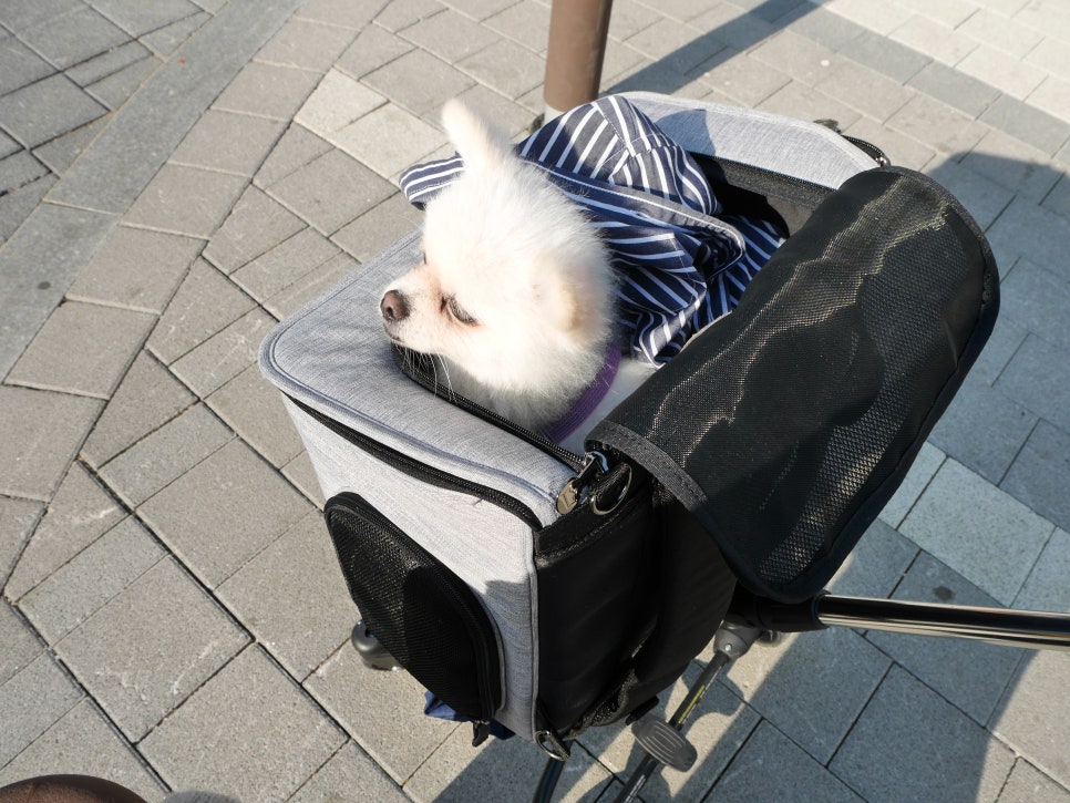 로얄세탁소 이미지