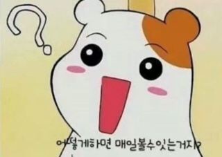 칠칠켄터키 이미지