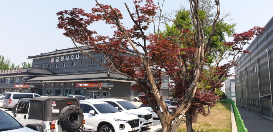 금왕의류 이미지