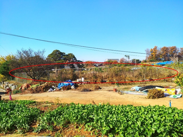 [국도32] 당진시 거산리 이미지