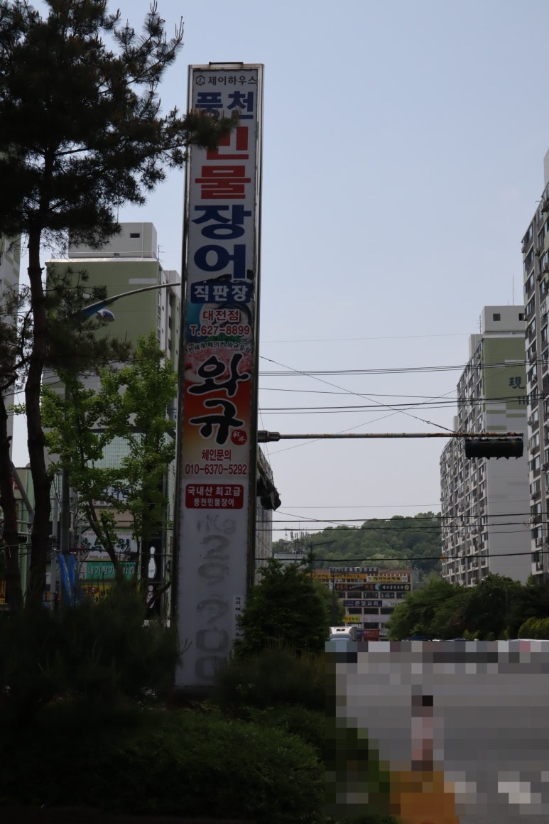 뚱이네민물장어 이미지
