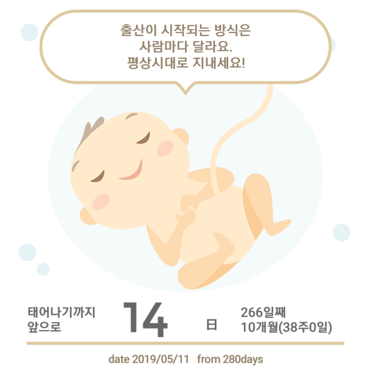헬로옐로우 이미지