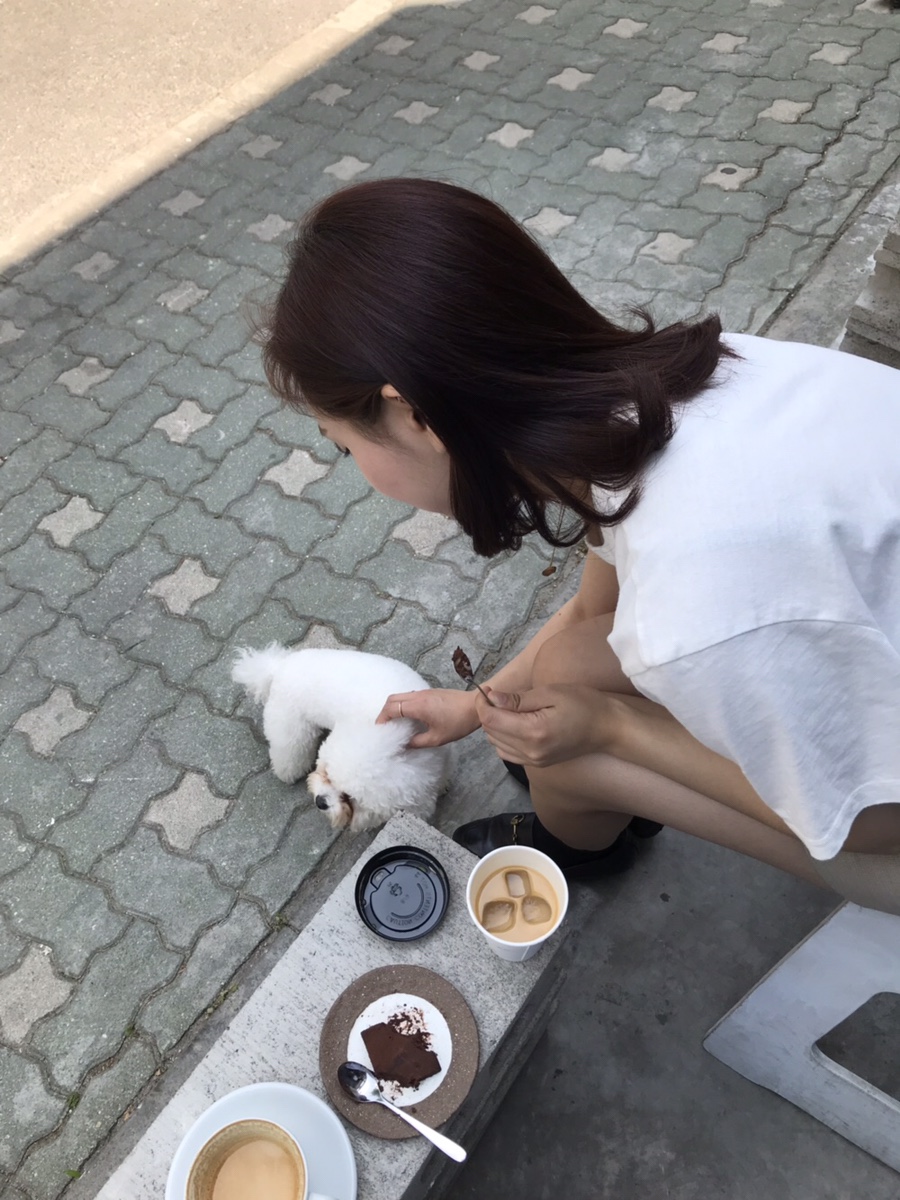 코히 이미지